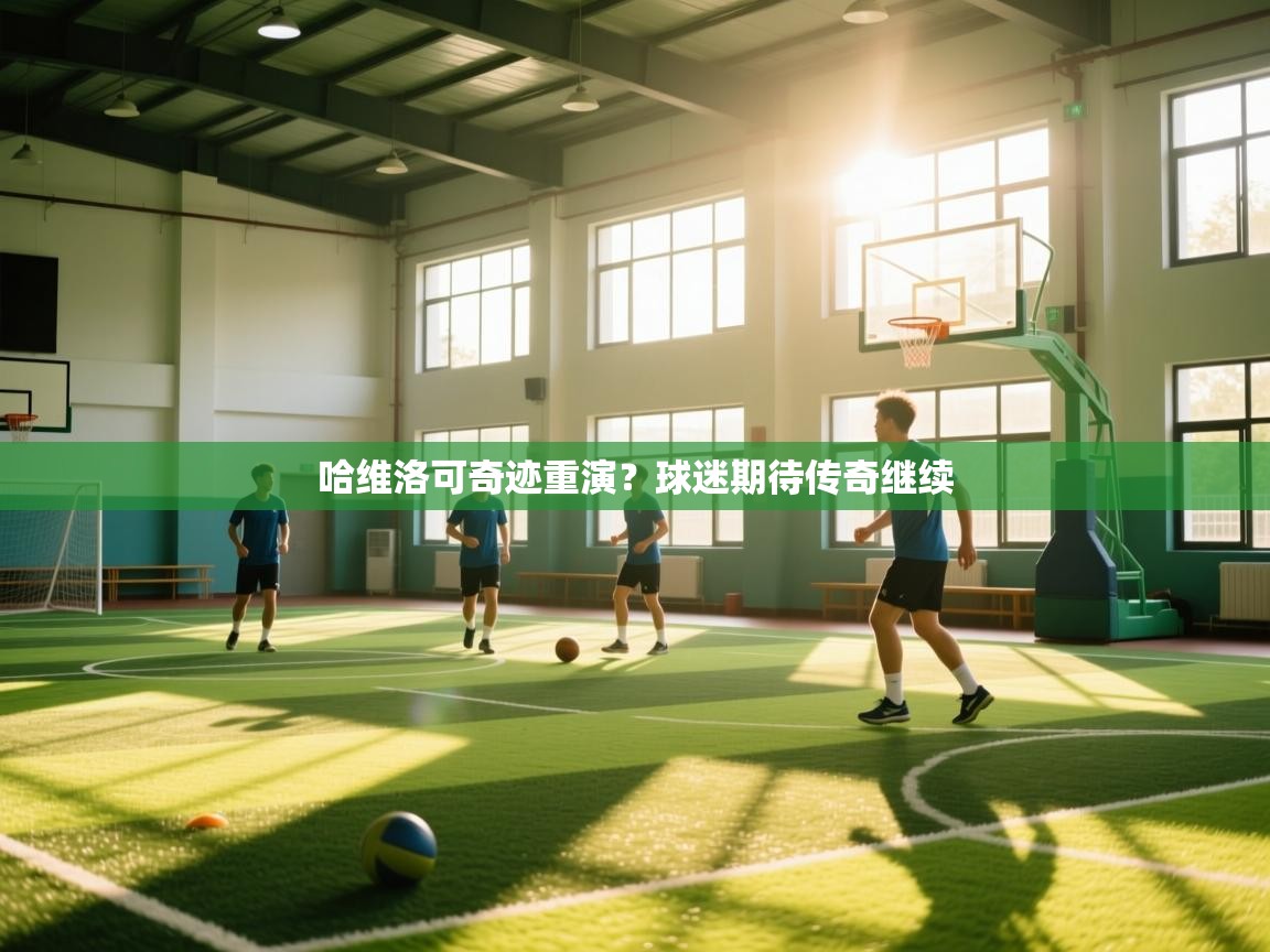 哈维洛可奇迹重演？球迷期待传奇继续  第2张