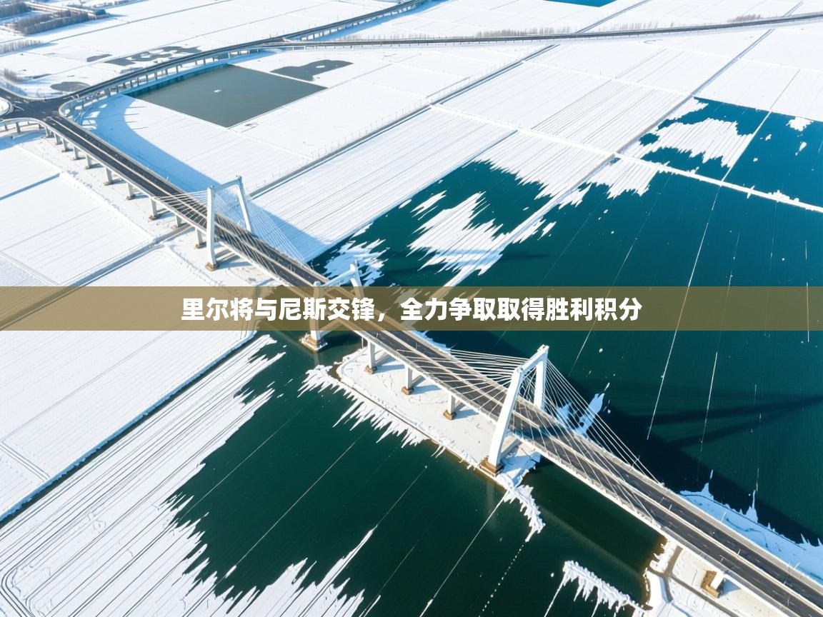 里尔将与尼斯交锋，全力争取取得胜利积分  第1张