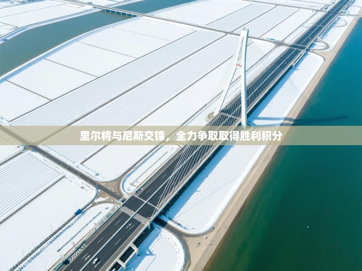 里尔将与尼斯交锋，全力争取取得胜利积分  第2张