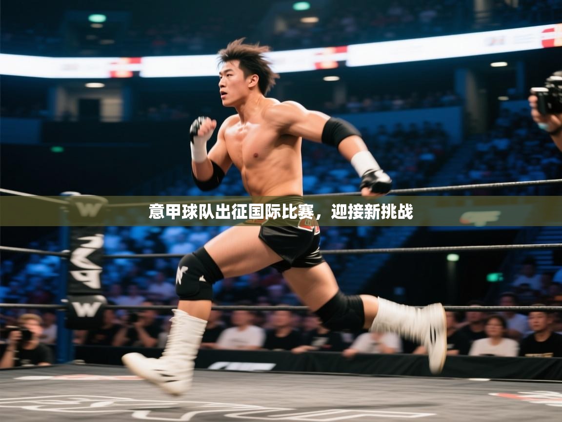 意甲球队出征国际比赛，迎接新挑战  第2张