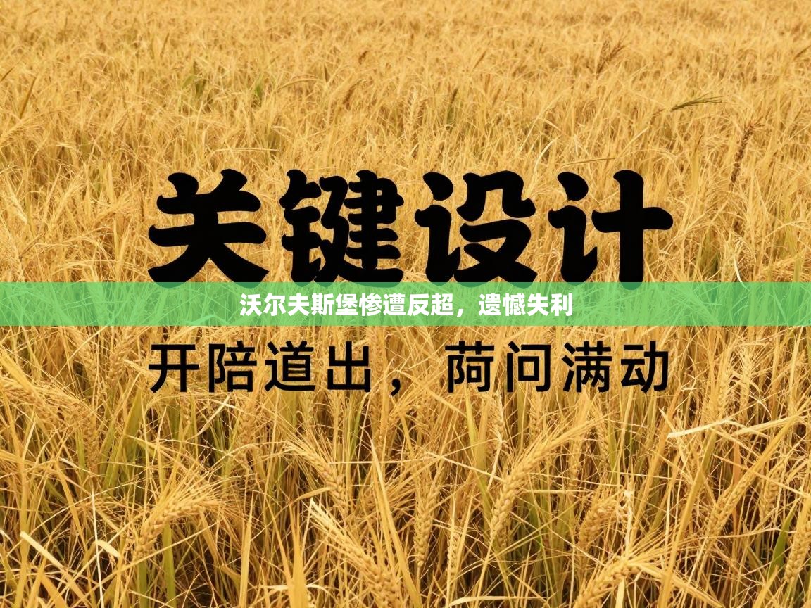 沃尔夫斯堡惨遭反超，遗憾失利  第2张